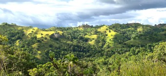 Chocolate Hills and Landscape