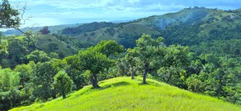 Chocolate Hills and Landscape