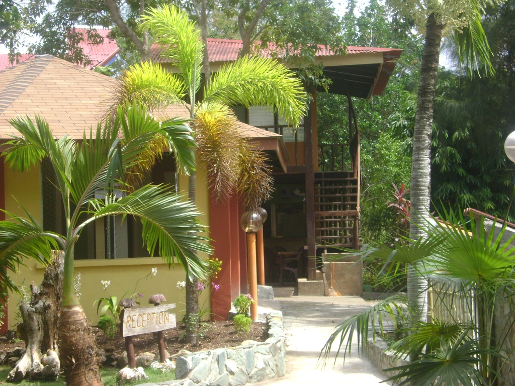 DSC00124