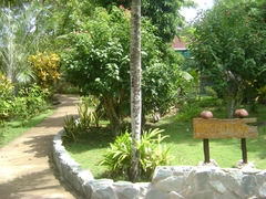 DSC09381