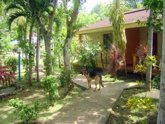 DSC09385