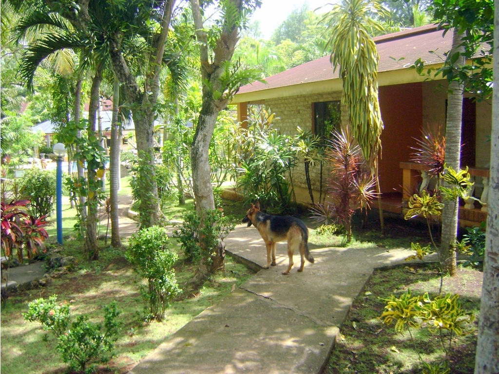 DSC09385
