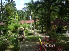 DSC09399