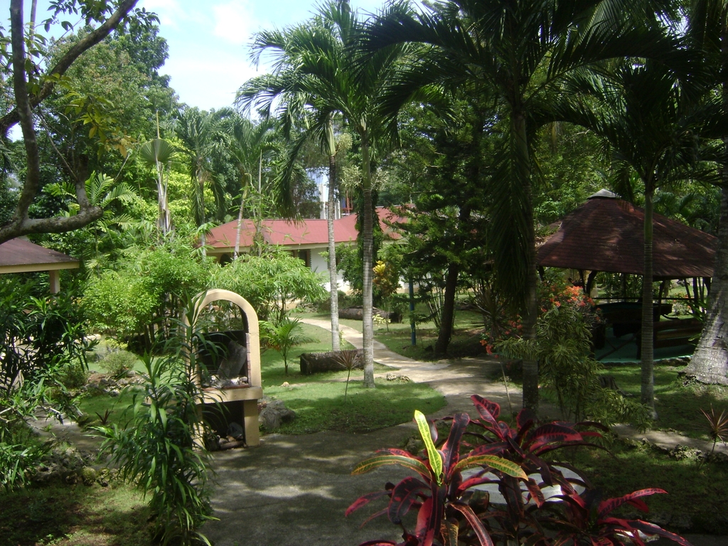 DSC09399
