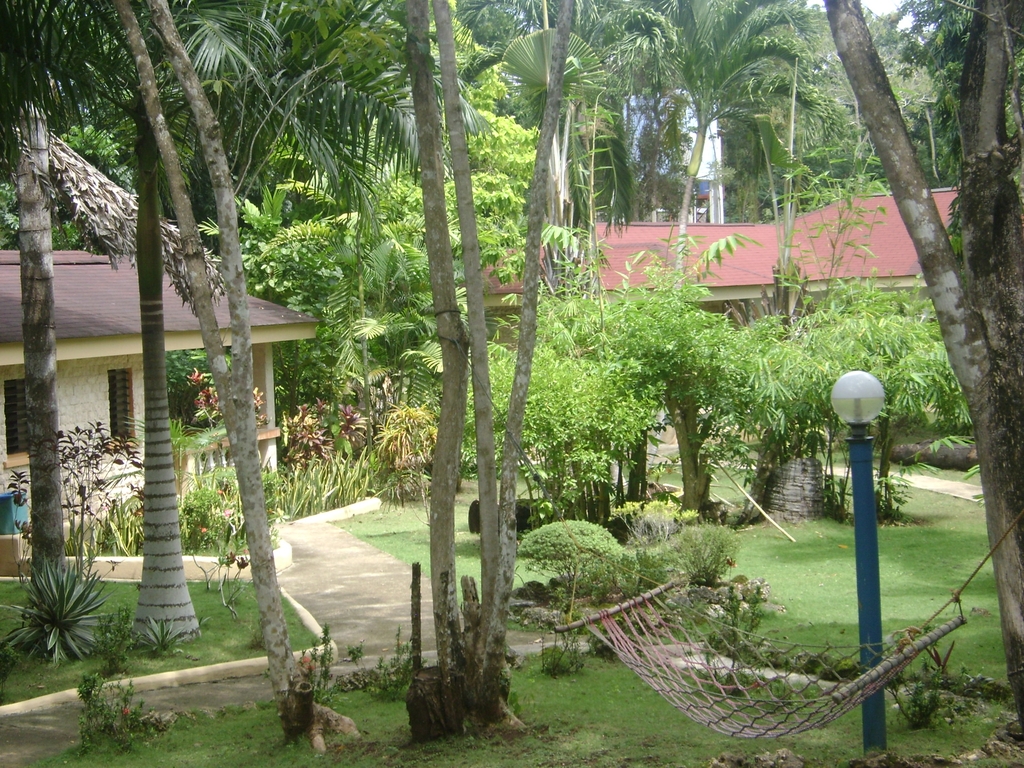 DSC09402